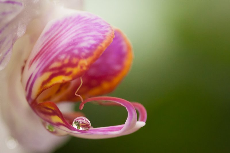 Click to view full screen - Cradle Me Gently